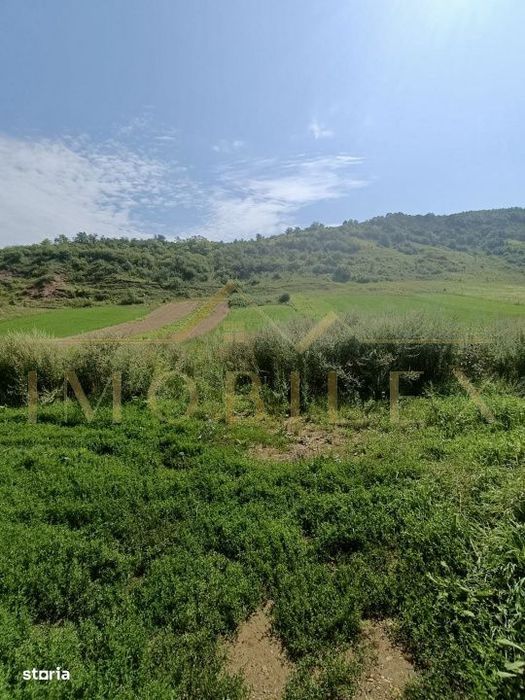 Teren intravilan 2760 mp, zona Savadisla-Vlaha
