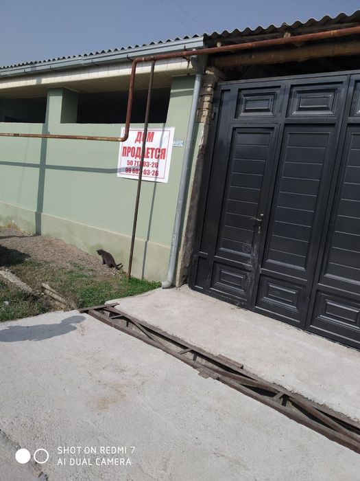 Тош..вилояти.Оккургон туманида ховли сотилади.5хонали ремонти яхши.13с