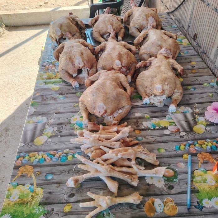 Pui și găini albe de carne tăiate
