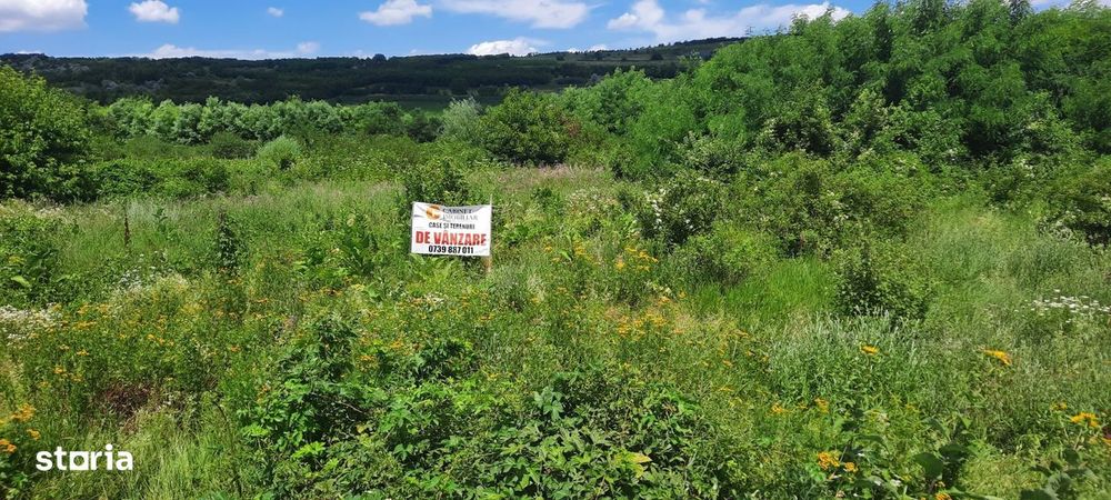 Teren Intravilan  Tomesti,Osoi,2800 Mp - 49.500 Euro
