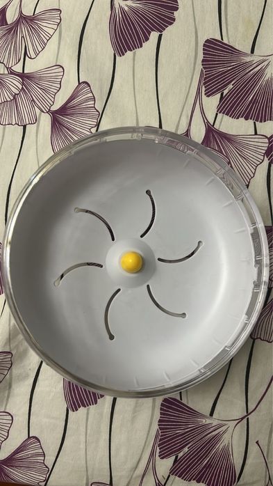 Все атрибуты для грызунов