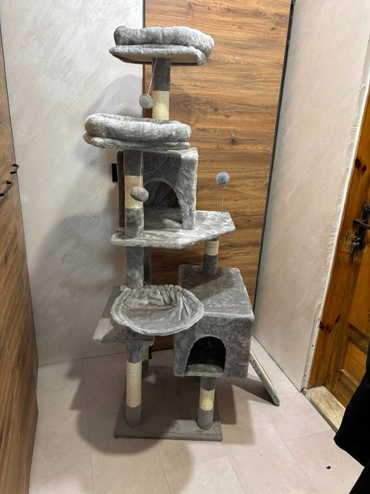 Голяма котешка катерушка 160см