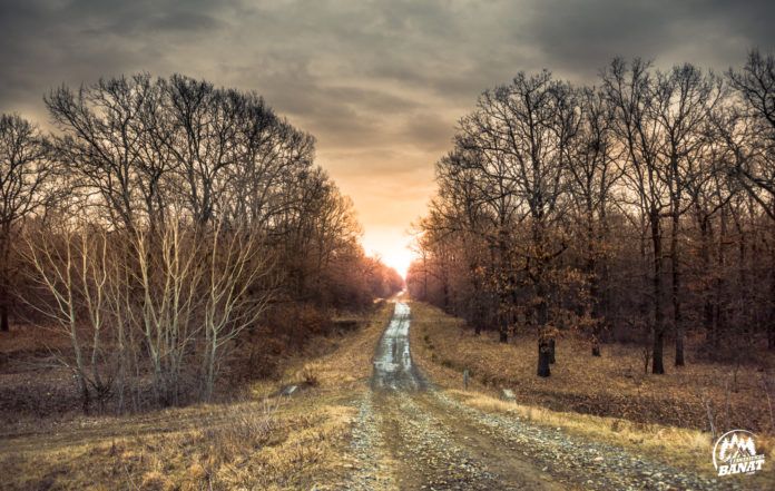 Teren extravilan arabil 1.8 ha manastirea Timseni sag Timisoara