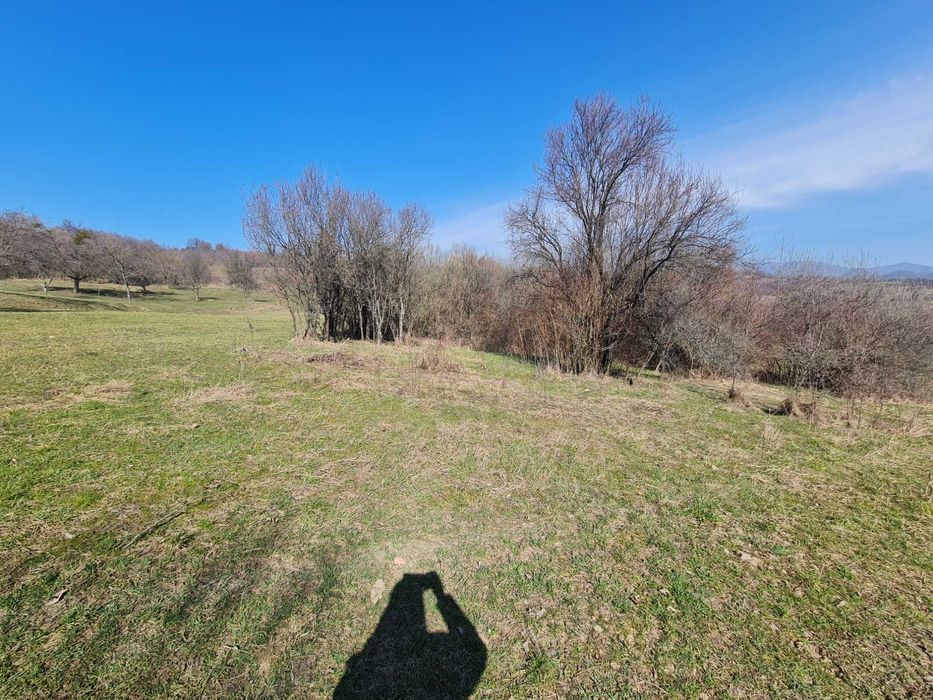 Teren ideal pt cabana , picnic sau casuta de vacanta la 8 km