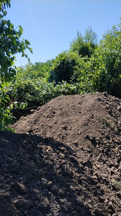 Pamant negru pentru gazon