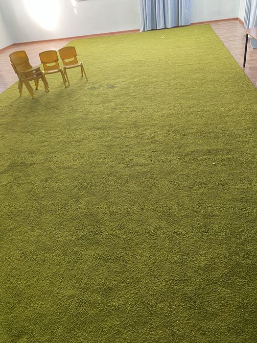 Газон кілем жасыл түсті балабақшаға