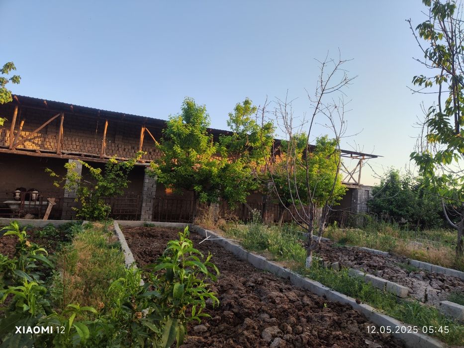 Молхона, чорвачилик учун жой. аренда ижара