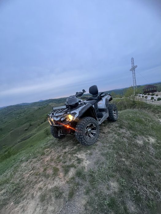 Se vinde canam, urgent!