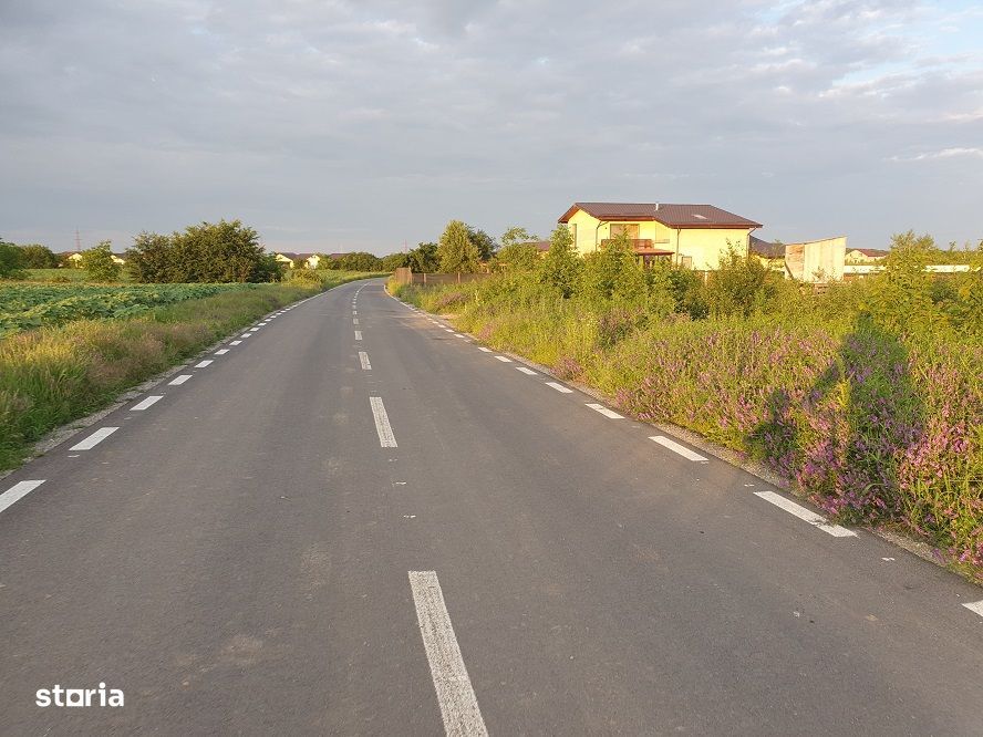 Vanzare teren Balotesti-Lahovari,strada Cameliei,intre case,31000 euro