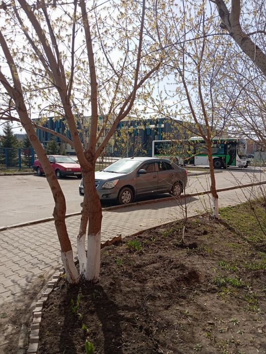 Продам квартиру р/н Береке