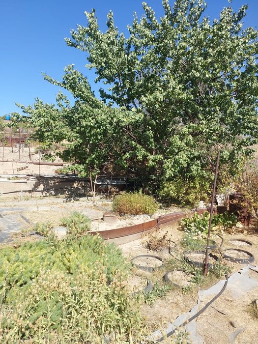 Срочно продам дачу, обмен на машину