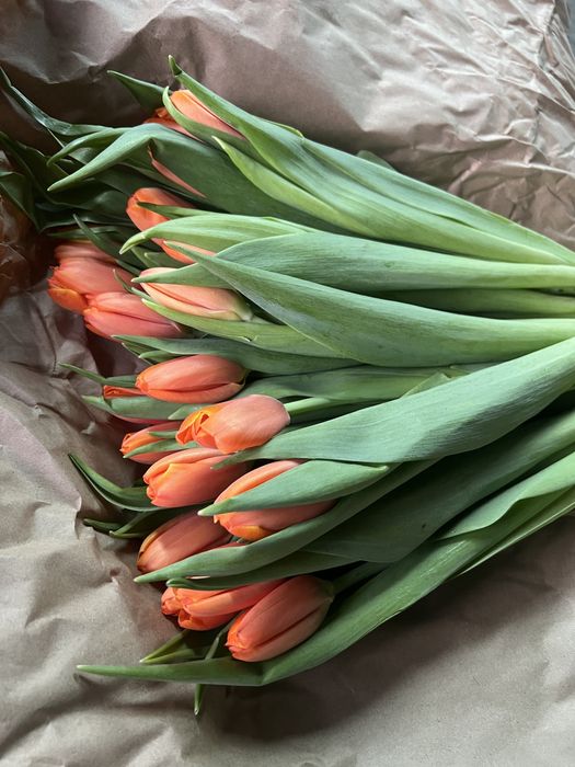 Продажа тюльпанов оптом к 8 марта