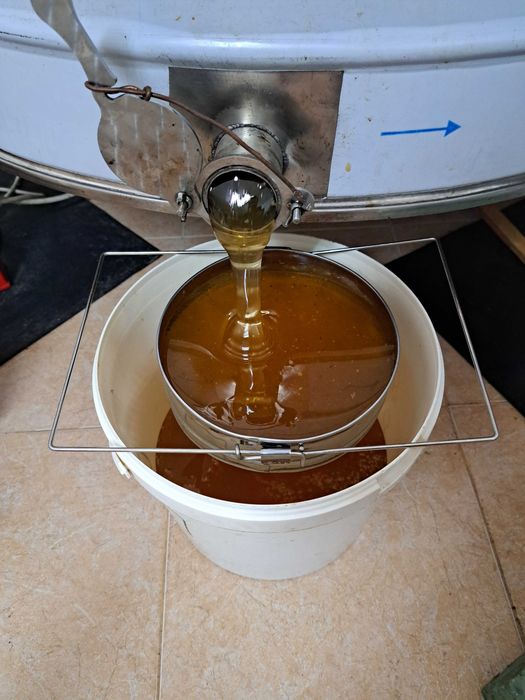 Пчелен мед и пчелни продукти реколта 2026г