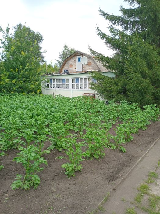 Продам дачу в с/о "Полет"