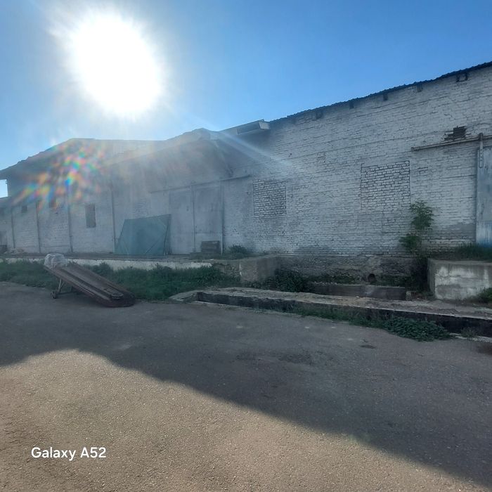 Прадажа производства.  Ветка