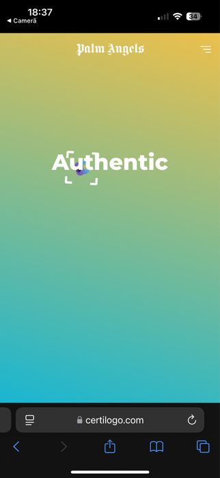 Bluza Palm Angels legit