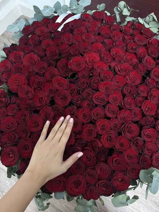 Цветы роза 151 роза