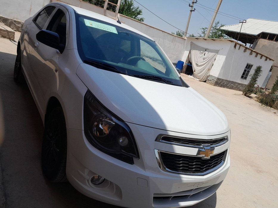 Kobolt Midnight yangi 2025