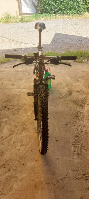 Bicicleta adulti