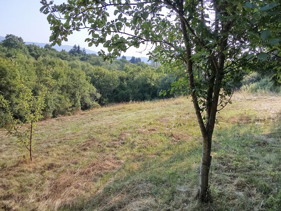 Продава се Къща в Годеч - 68 кв.м за 956 €/кв.м - Снимка #3