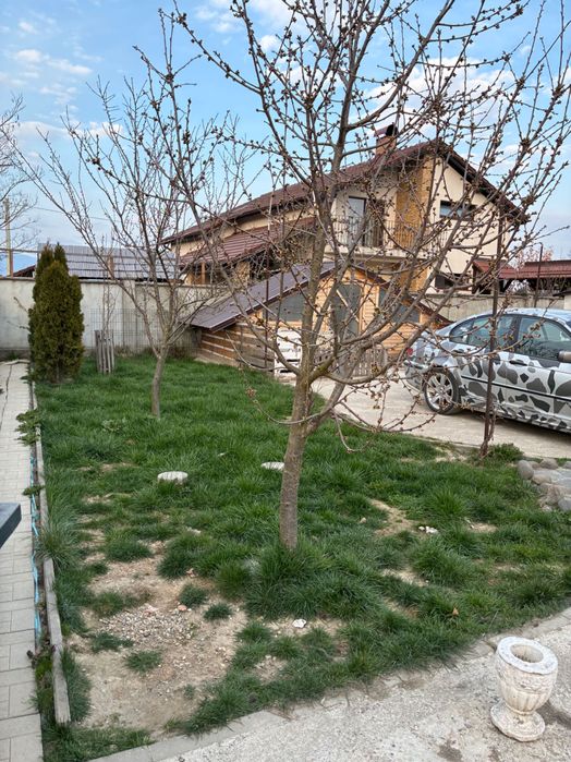 Vand casa parter Coltau, Maramures