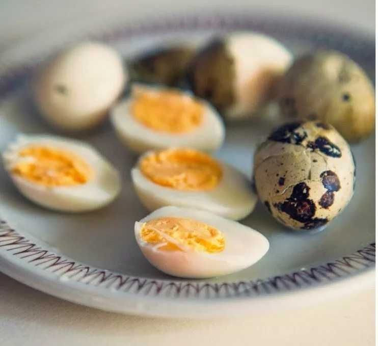 Домашнее перепелиное и Свежие Яйцо Перепёлок Бедана Xonadon tuxumlari