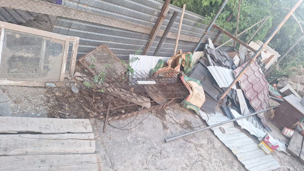 Железо 100тг