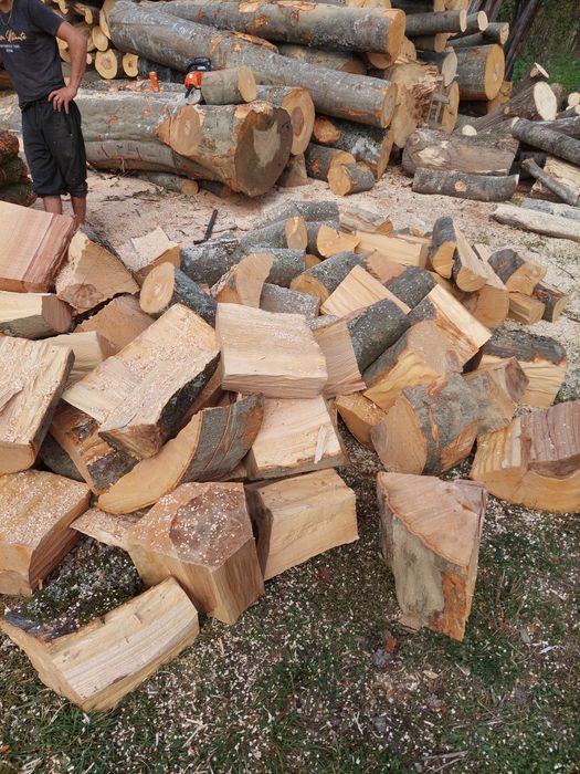 Lemn de foc esenta dorita de dvs