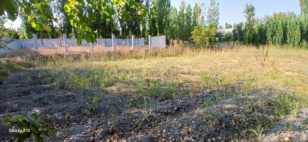 Chek sotiladi  16 sotix