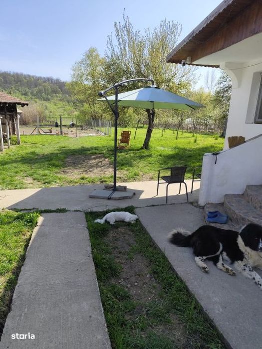 Casa renovata complet, 1800 mp teren, zona linistita in Cornita