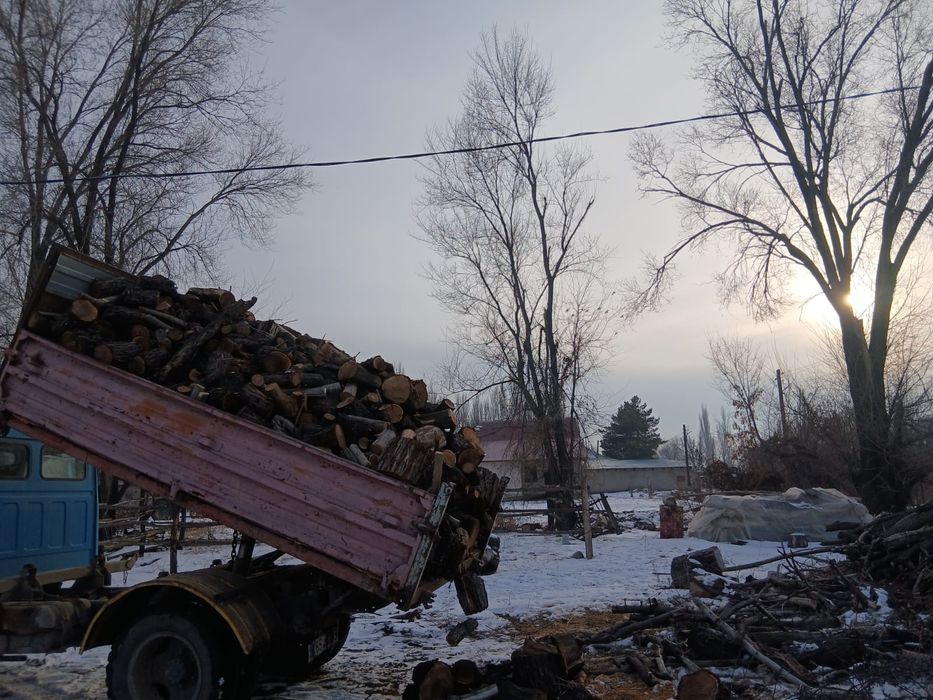 Кебу жиде бар бәрі шөлкеленген