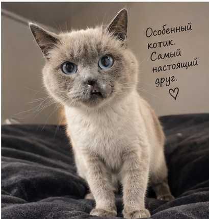 Волан-де-мурт мщет своего человека