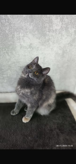 Очаровательная лапотулька Стеша!