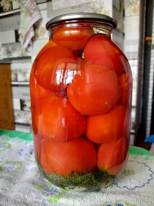 Огурцы консервированные. Дачные.