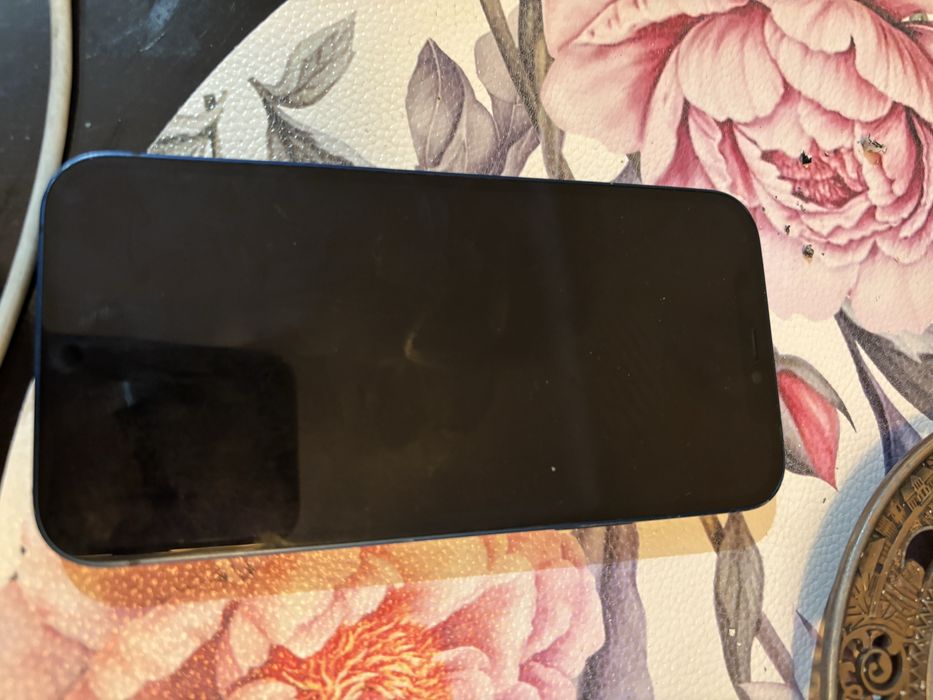 iPhone 12 blue.