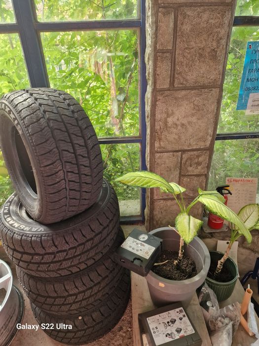 195 55 10С Maxxis m+s