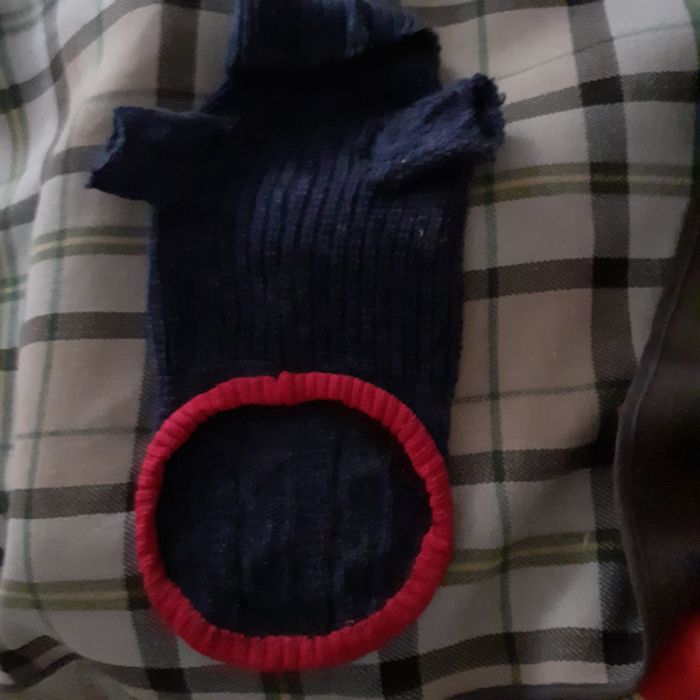 Tricotatez hăinuțe pentru căței