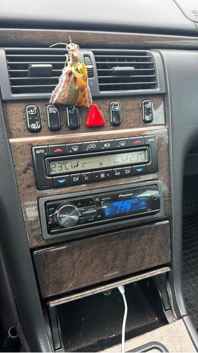 pioner dell дельфин