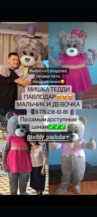 Продам тедди хороший бизнес для студента
