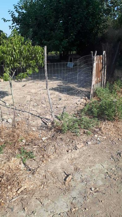 Продава се Парцел в Петрич - 1000 кв.м за 75 €/кв.м - Снимка #2