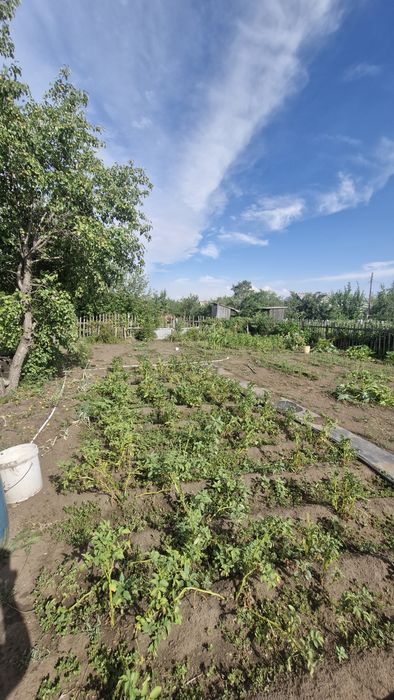 продам дачу в садоводстве Северный