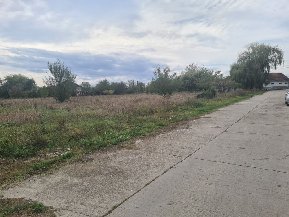 Vand teren 2700 m industrial Bacia