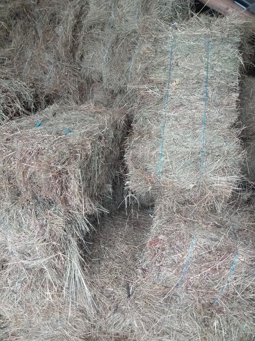 Vând baloţi de fân