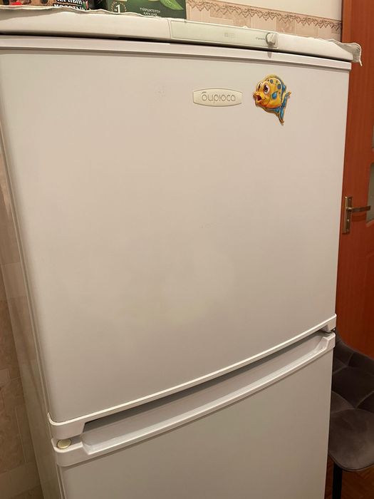 Холодильник Бирюса