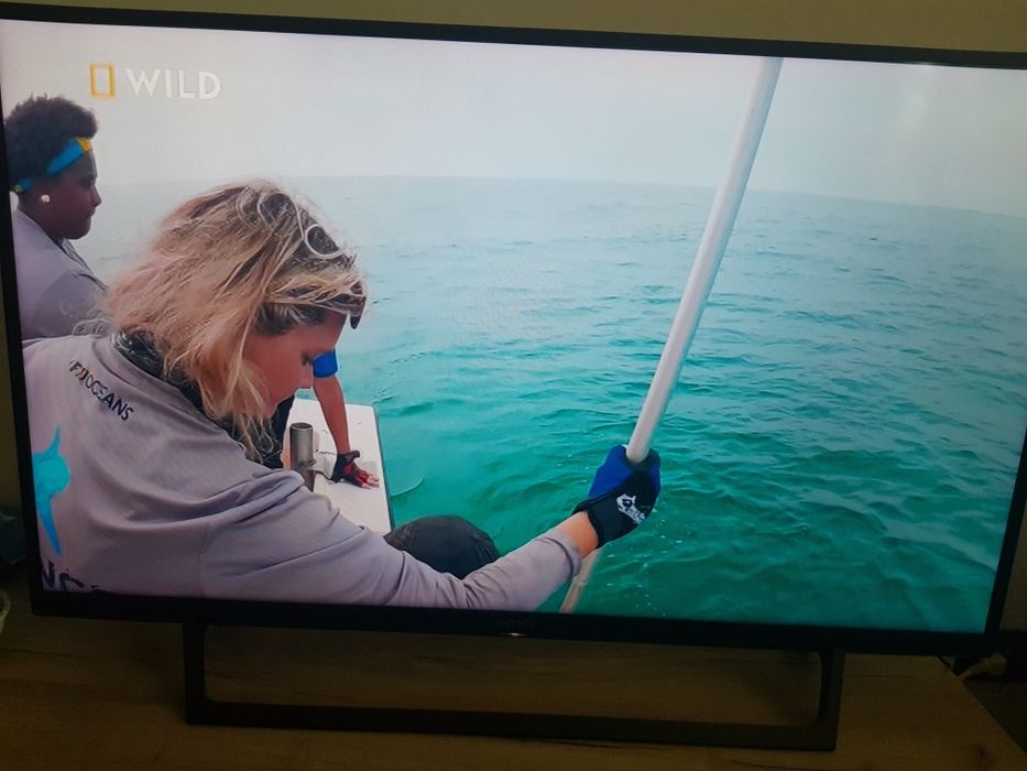 Телевизор SONY Bravia