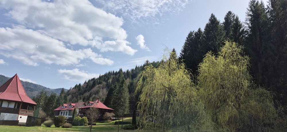 Teren Tarcău  intravilan