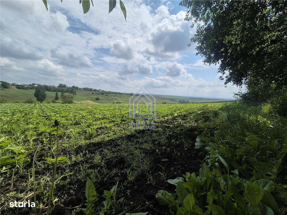Teren intravilan Moara Nica - zona Scolii