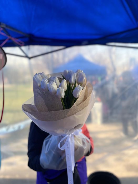 Цветы!! Тюльпаны