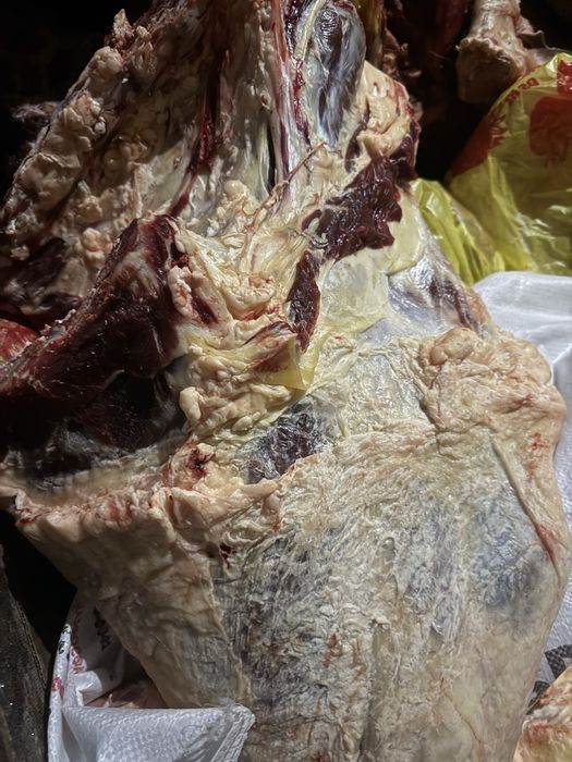 согым кашар 3200 тг