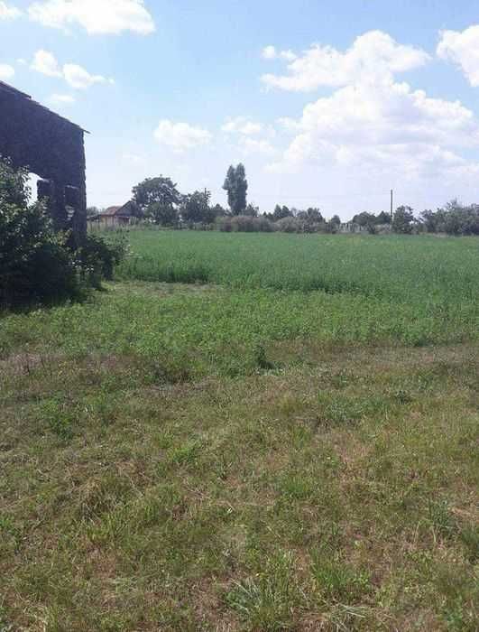 Casa de vanzare Cuvin (Arad)